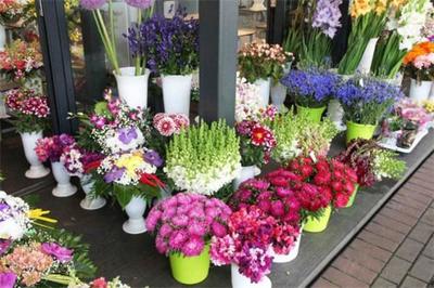 花滿堂花店加盟 把握商機，共創繁花似錦的創業之路